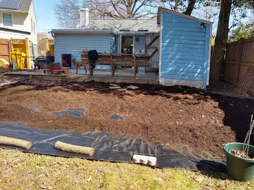 a portion of the backyard is covered with cardboard and mulch